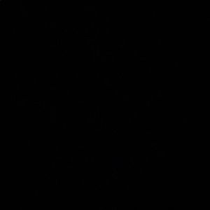 Meet your Posher, Malakai